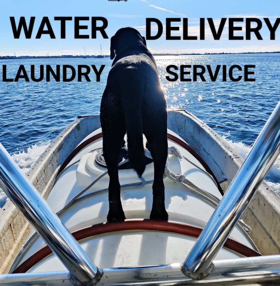 Keys Watermen's black dog riding on the water and laundry delivery boat