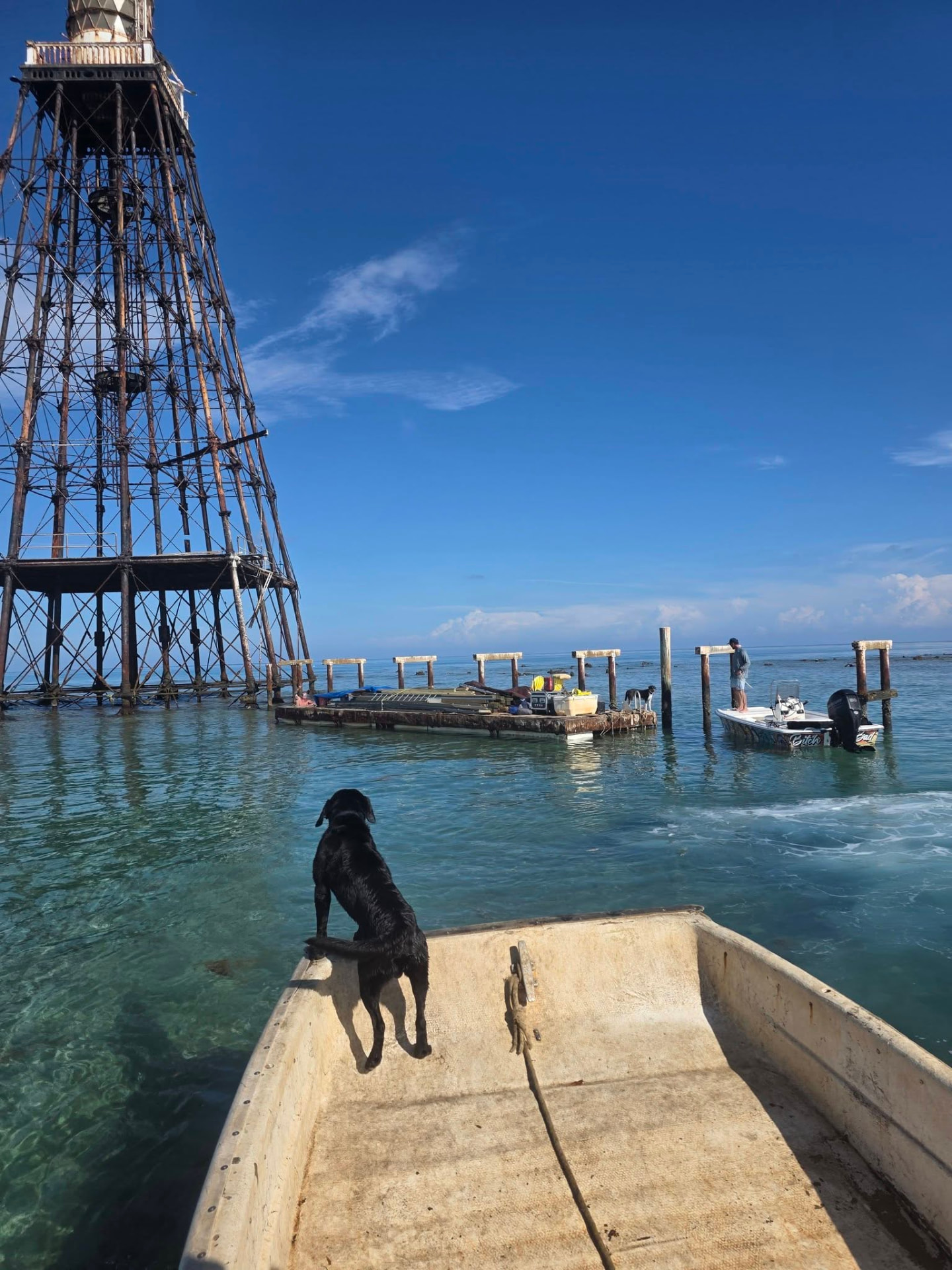 Keys Watermen boat and its four-legged first mate approaching a lighthouse on the clear blue waters of the Florida Keys
